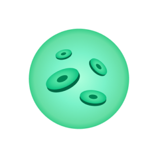 규모에 맞게 선택 가능